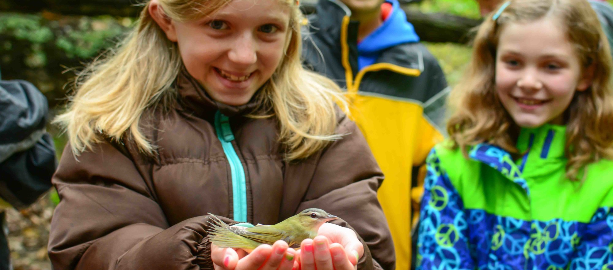 Michigan State Bird Observatory