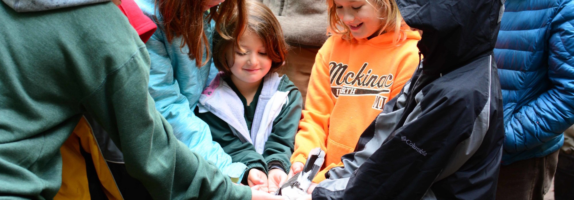 Michigan State Bird Observatory